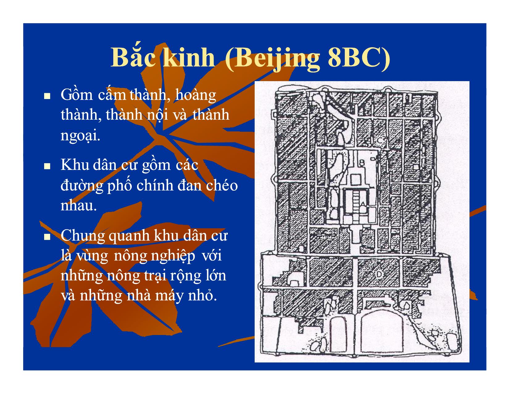 Bài giảng Quy hoạch đô thị - Chương 2: Mô hình phát triển đô thị (Phần 1) trang 5