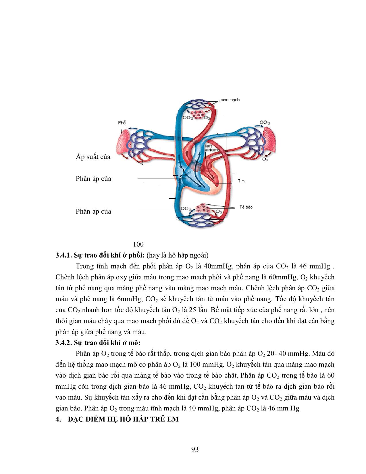 Giáo trình Sinh lý trẻ em (Phần 2) trang 5