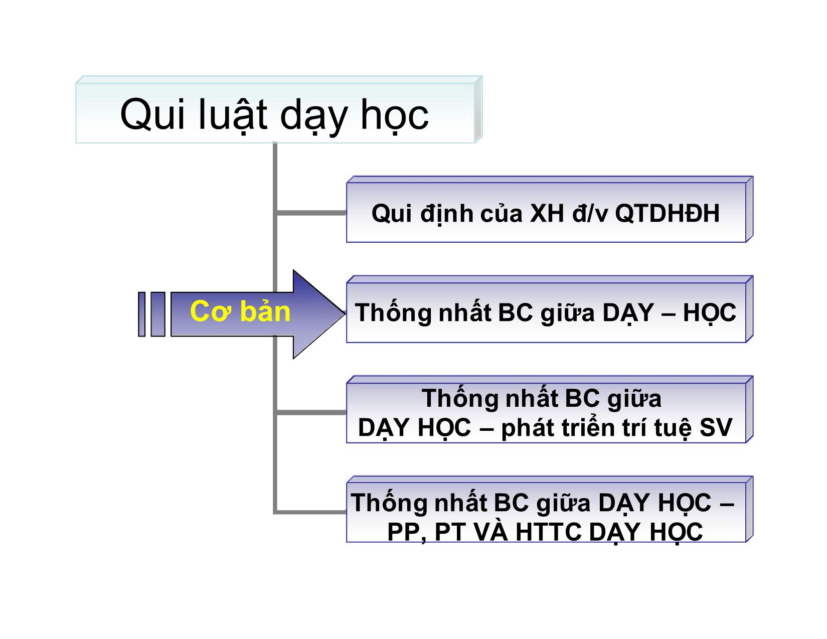 Qui luật và nguyên tắc dạy học Đại học trang 2