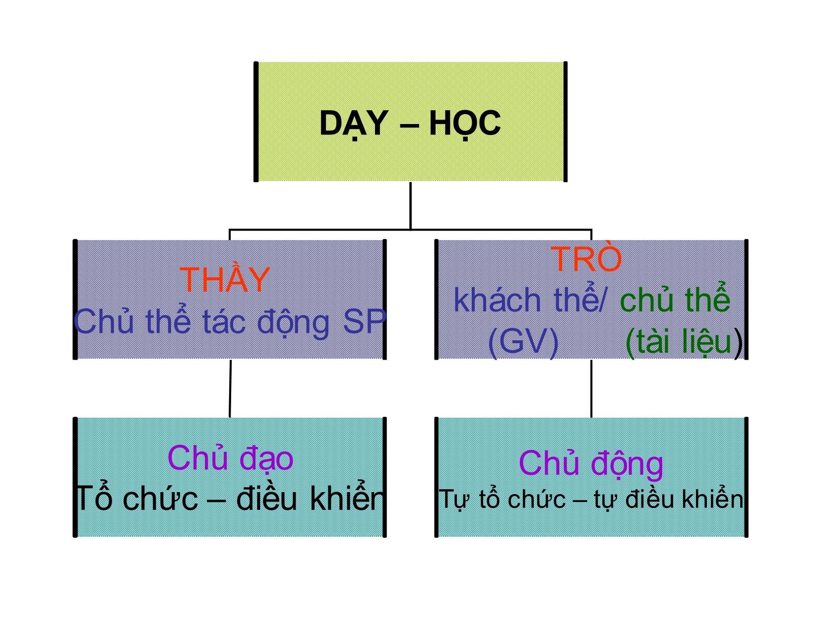 Qui luật và nguyên tắc dạy học Đại học trang 4