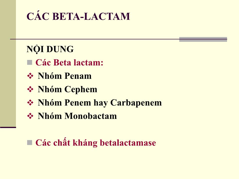 Bài giảng Các Beta - Lactam trang 1