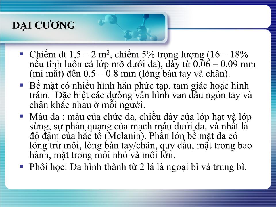 Bài giảng Giải phẩu học da thường trang 1