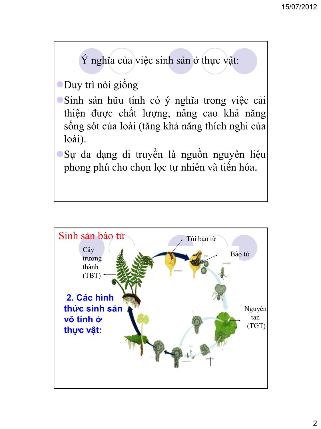Bài giảng Sinh sản ở thực vật trang 2