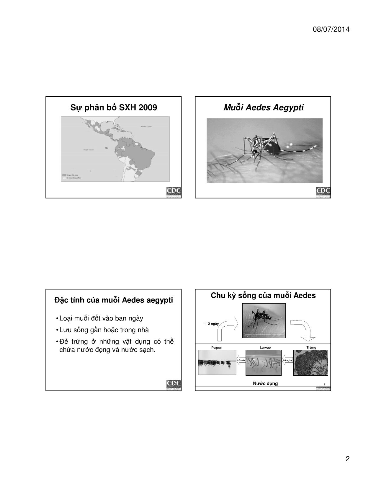 Bài giảng Sốt Dengue và sốt huyết Dengue trang 2