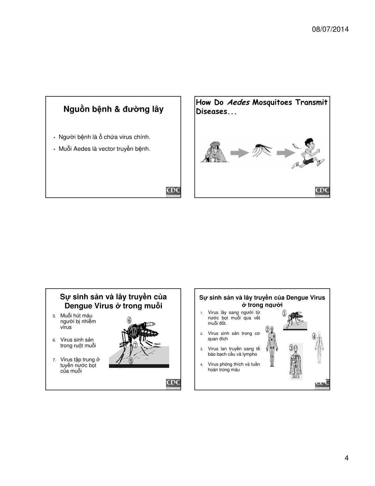 Bài giảng Sốt Dengue và sốt huyết Dengue trang 4