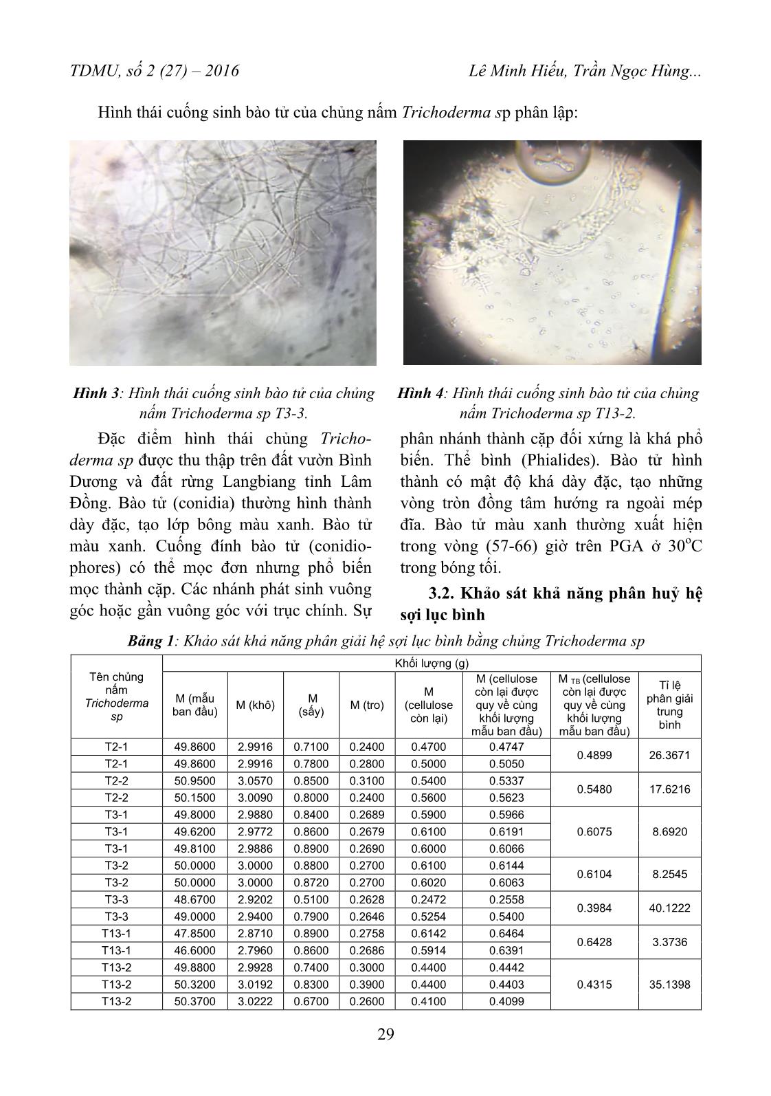 Đánh giá khả năng phân huỷ hệ sợi của lục bình eichhornia crassipes bằng chủng nấm trichoderma SP trang 5