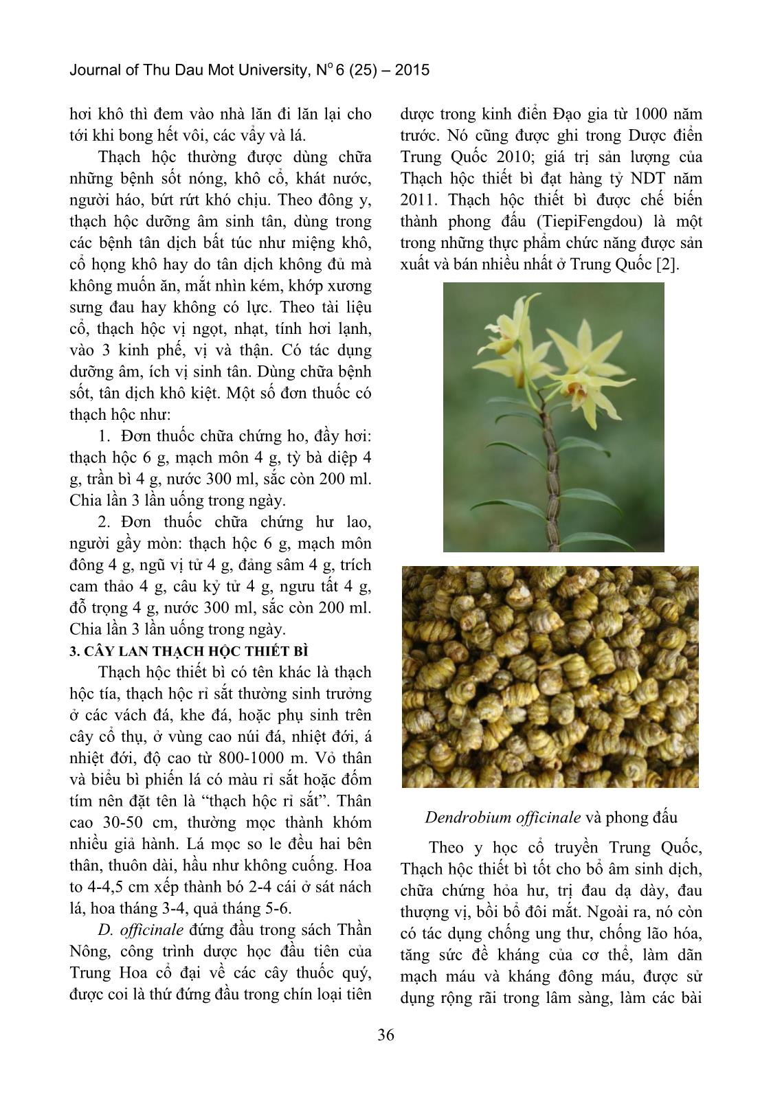 Giá trị dược liệu của cây lan thạch hộc tía (Dendrobium Officinale) trang 2