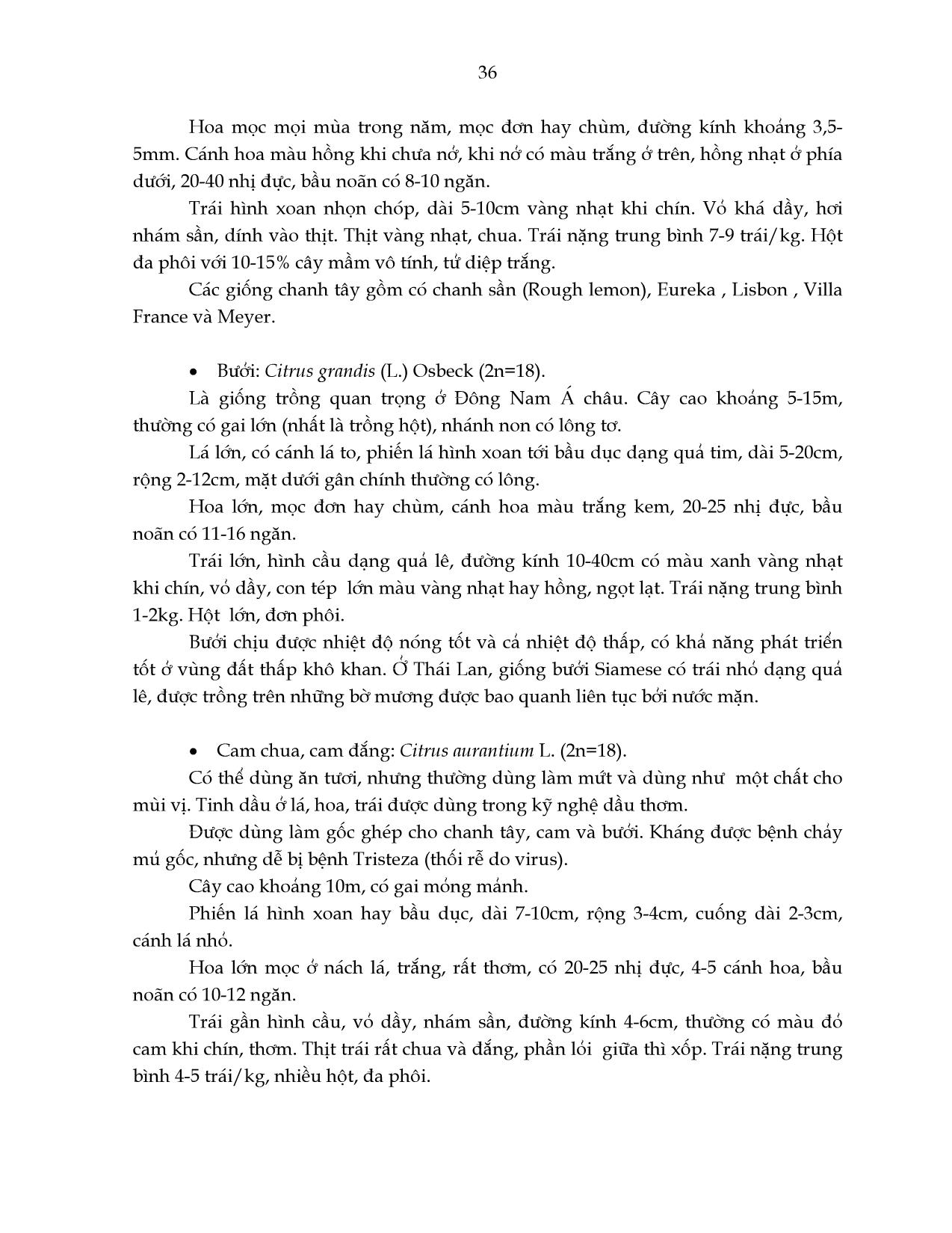 Giáo trình Cây ăn trái - Chương 2: Cây cam quýt trang 5
