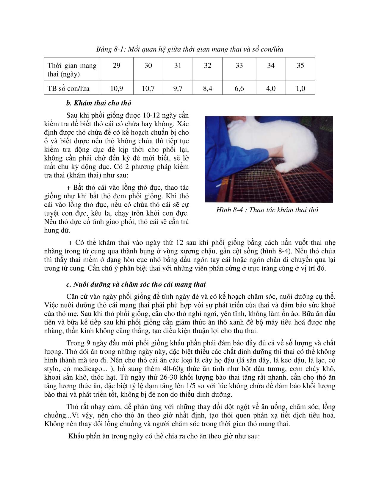 Giáo trình Kỹ thuật chăn nuôi các loại thỏ trang 4