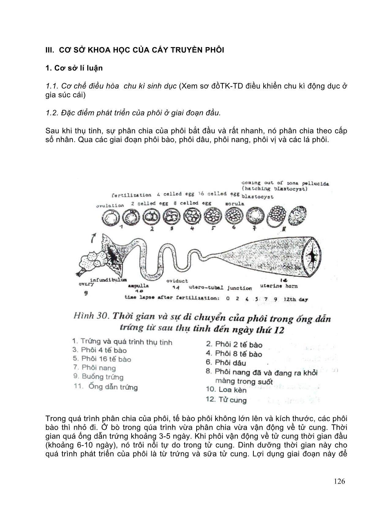 Giáo trình Kỹ thuật gây rụng trứng và cấy truyền phôi cho gia súc trang 3