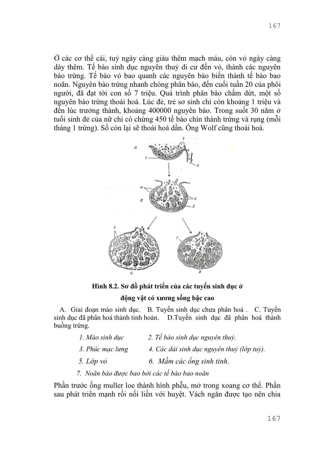 Giáo trình môn Sinh lý người và động vật (Phần 2) trang 5