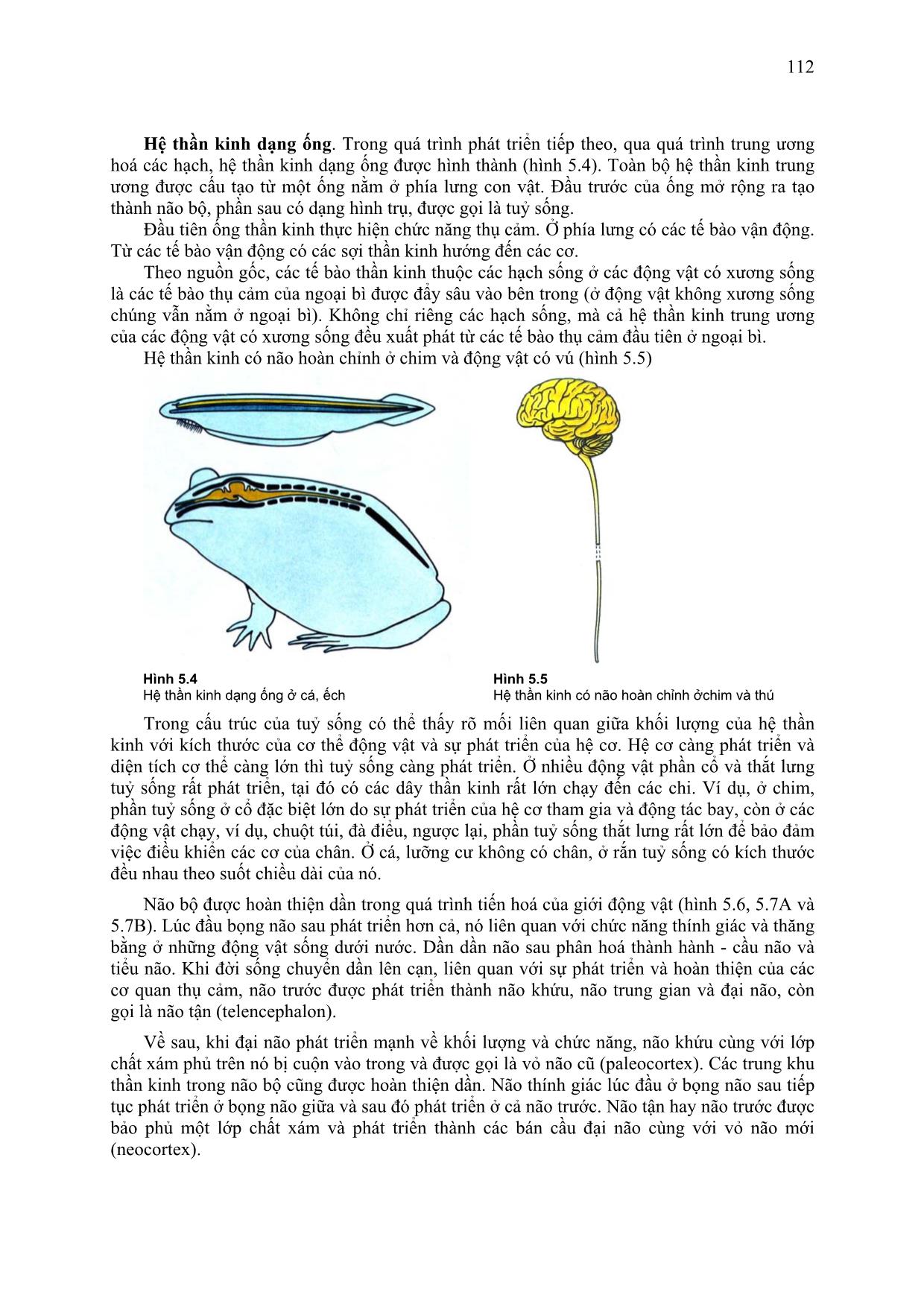 Giáo trình Sinh lý người và động vật (Phần 2) trang 3