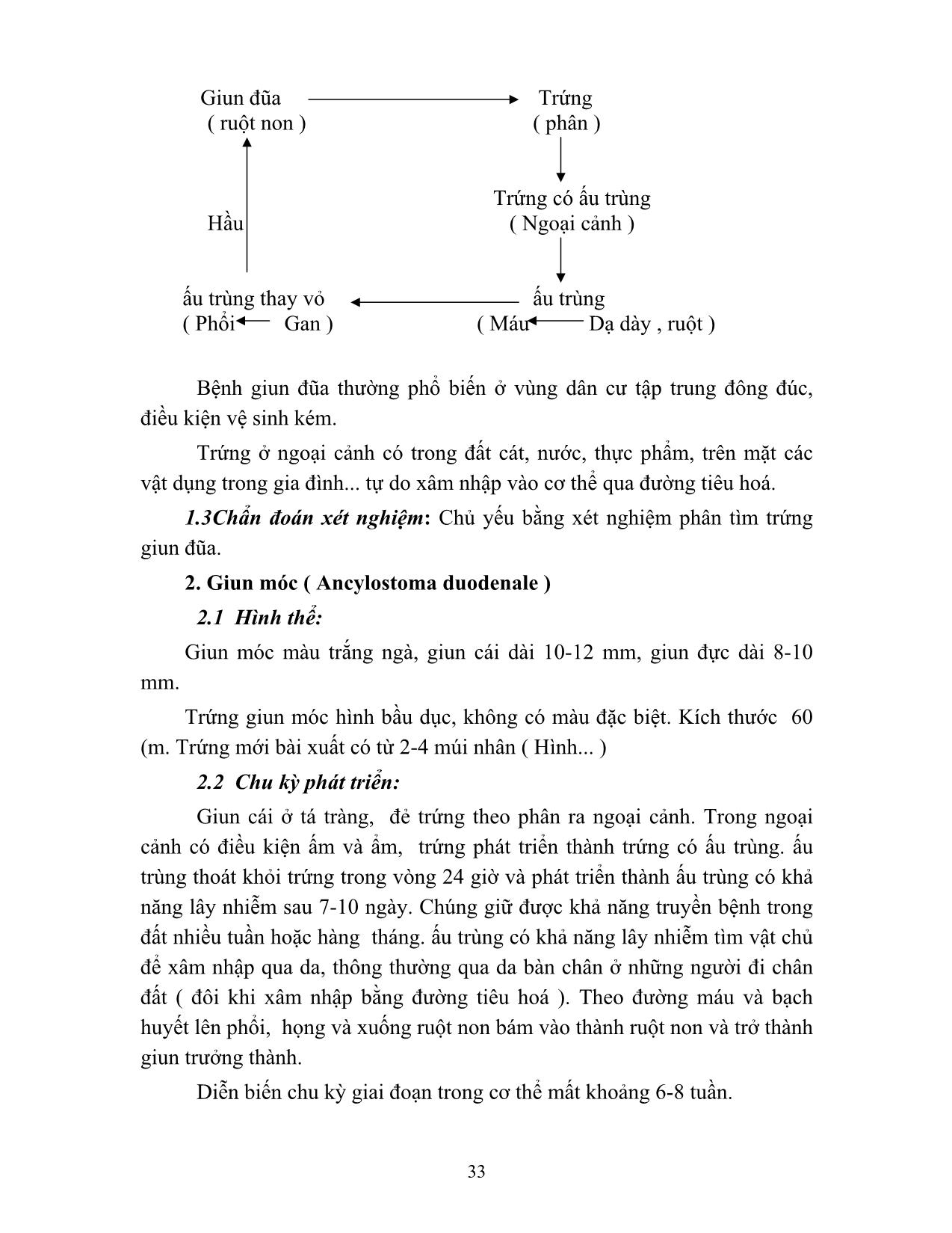 Giáo trình Vi sinh - Ký sinh trùng (Phần 2) trang 2