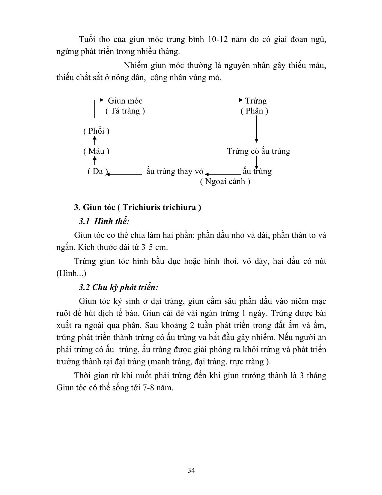 Giáo trình Vi sinh - Ký sinh trùng (Phần 2) trang 3