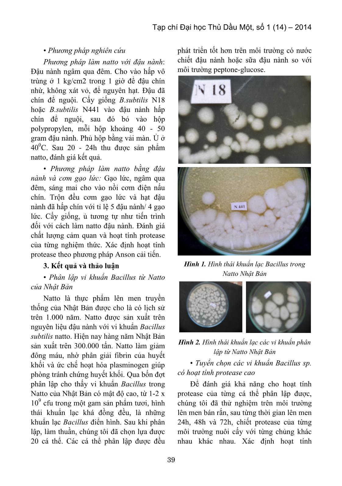 Phân lập vi khuẩn Bacillus Subtilis từ Natto Nhật Bản làm giống sản xuất Natto trang 2