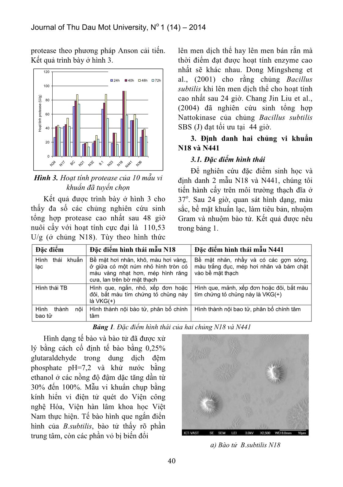 Phân lập vi khuẩn Bacillus Subtilis từ Natto Nhật Bản làm giống sản xuất Natto trang 3