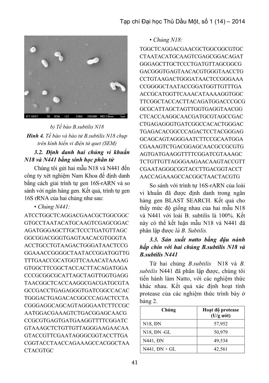 Phân lập vi khuẩn Bacillus Subtilis từ Natto Nhật Bản làm giống sản xuất Natto trang 4