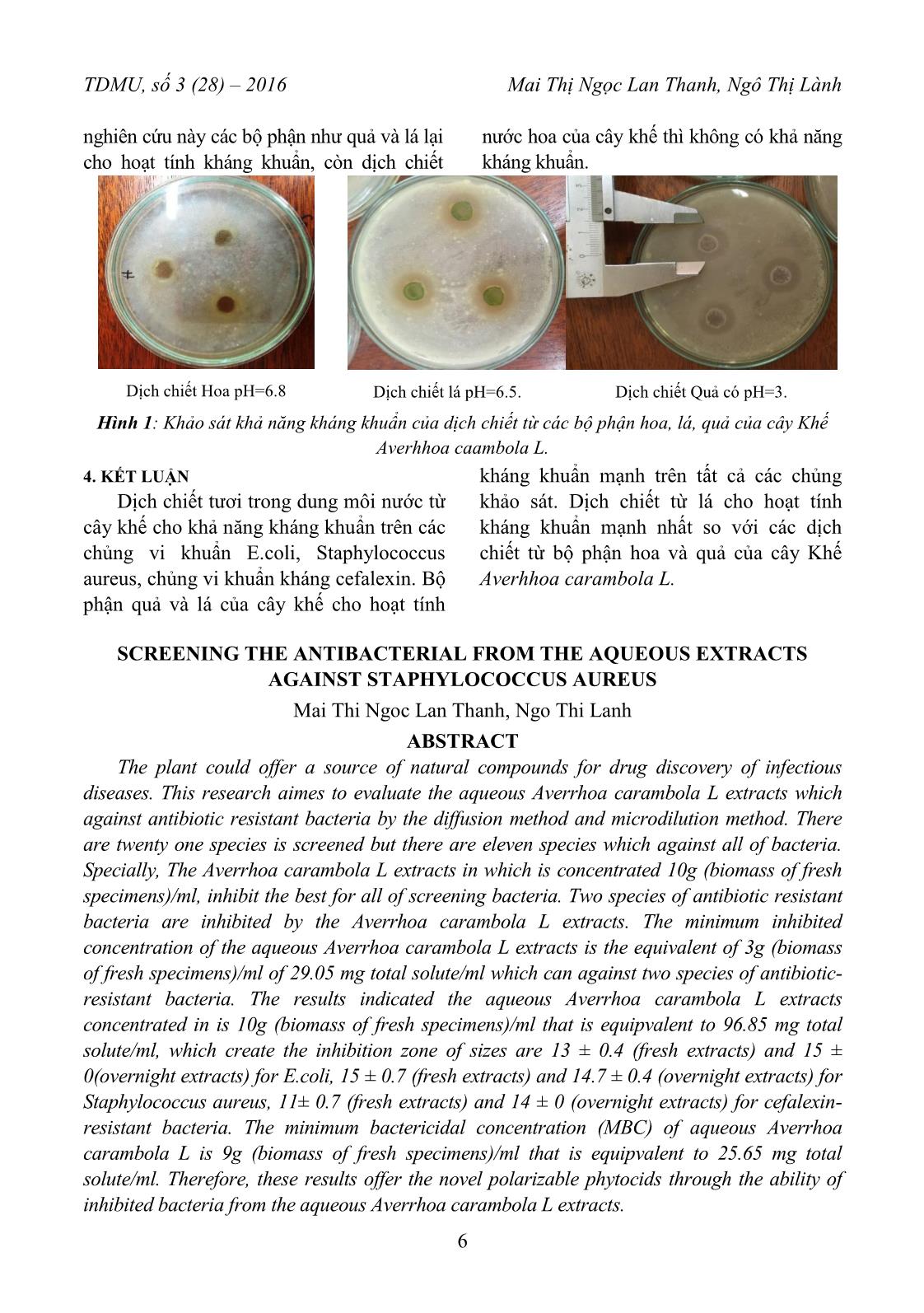 Sàng lọc kháng sinh thực vật tan trong dung môi nước kháng Staphylococcus Aureus trang 4