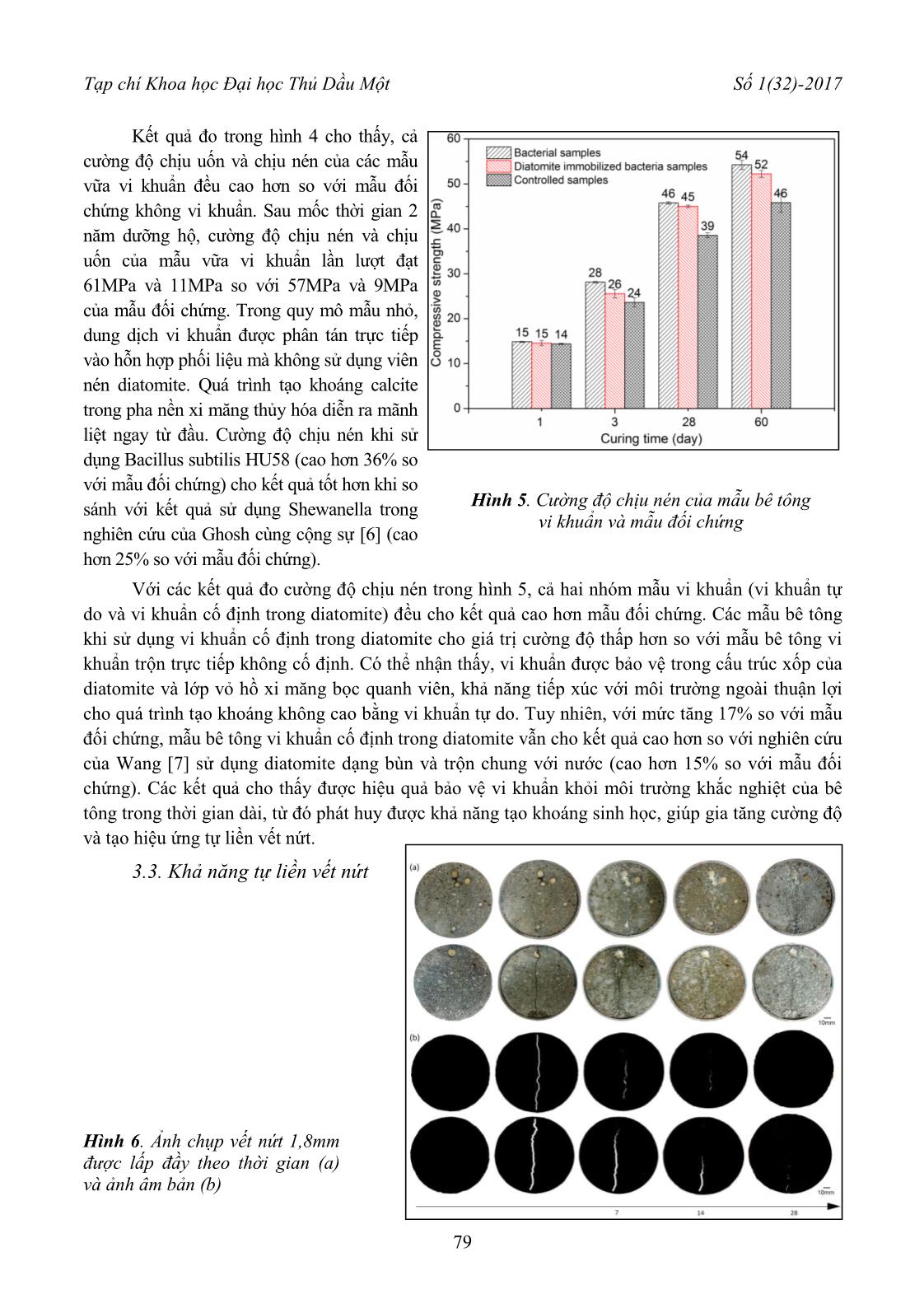 Sử dụng Diatomite cố định vi khuẩn Bacillus Subtilis hu58 cho bê tông tự liền vết nứt trang 5
