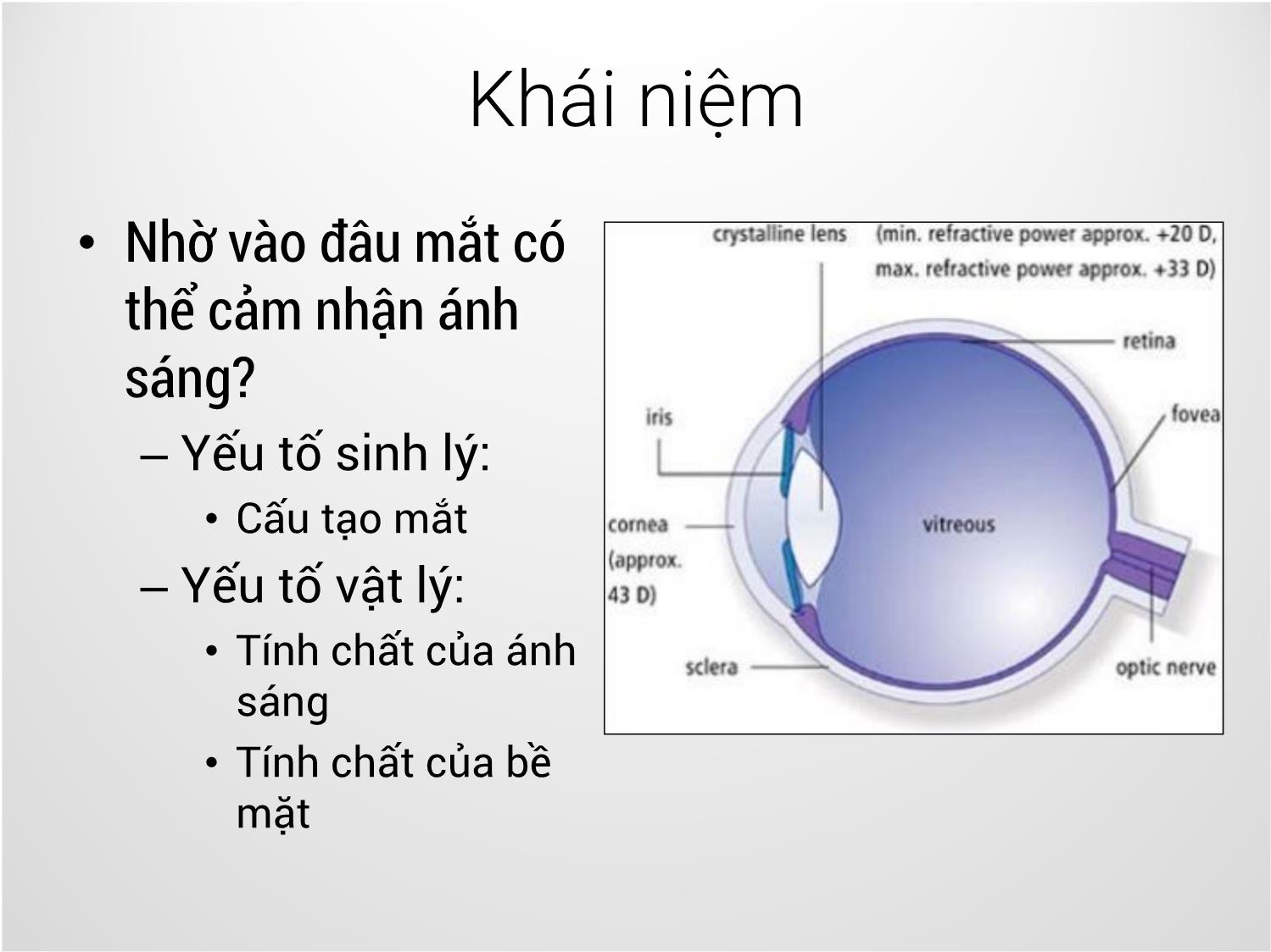 Bài giảng Công nghệ đồ họa và hiện thực - Bài 13: Chiếu sáng và tạo bóng bề mặt - Trịnh Thành Trung trang 4