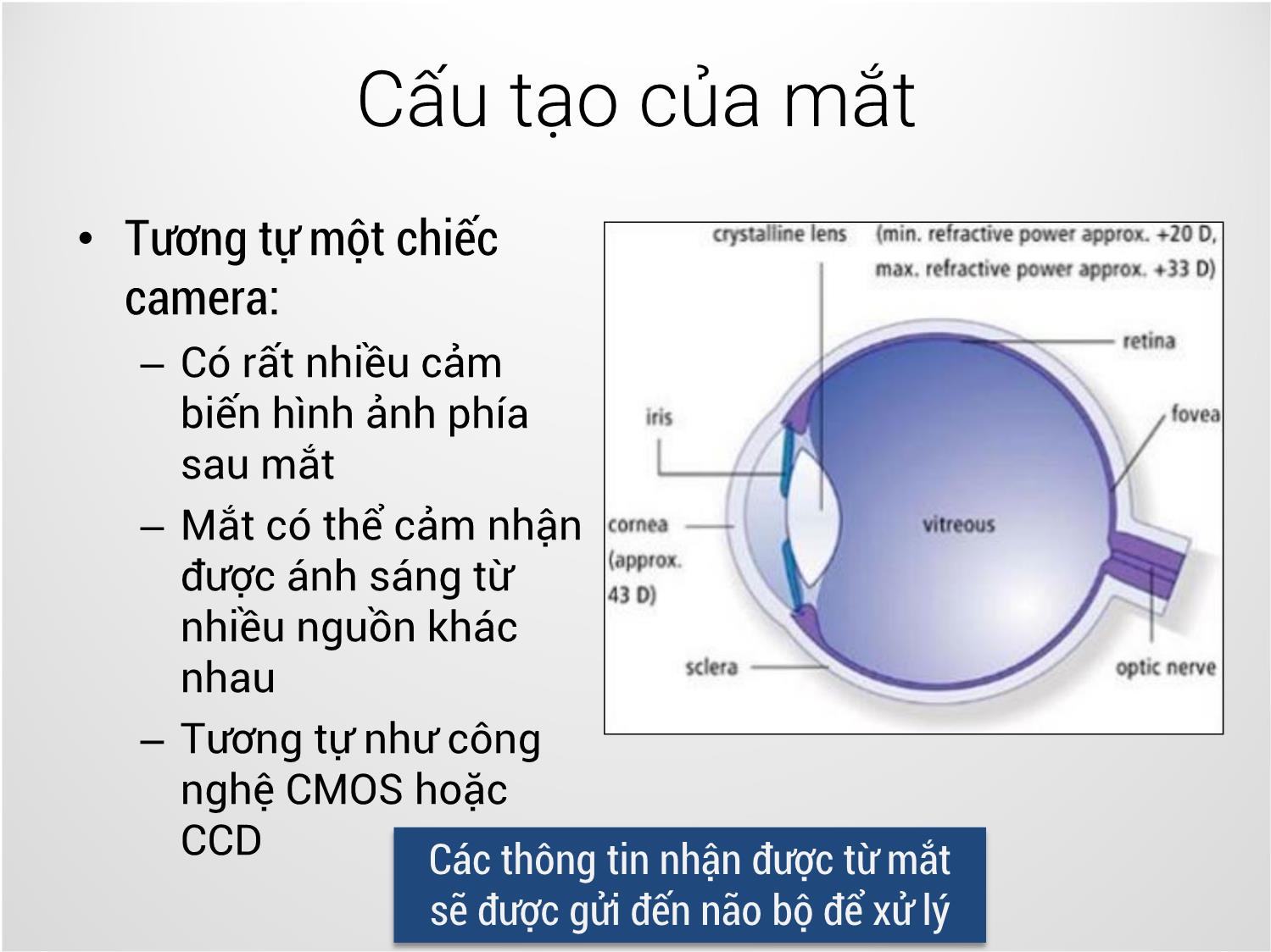 Bài giảng Công nghệ đồ họa và hiện thực - Bài 13: Chiếu sáng và tạo bóng bề mặt - Trịnh Thành Trung trang 5