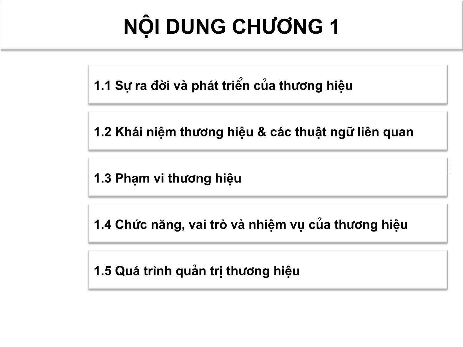 Bài giảng Quản trị thương hiệu - Chương 1: Tổng quan về thương hiệu - Nguyễn Quang Dũng trang 3