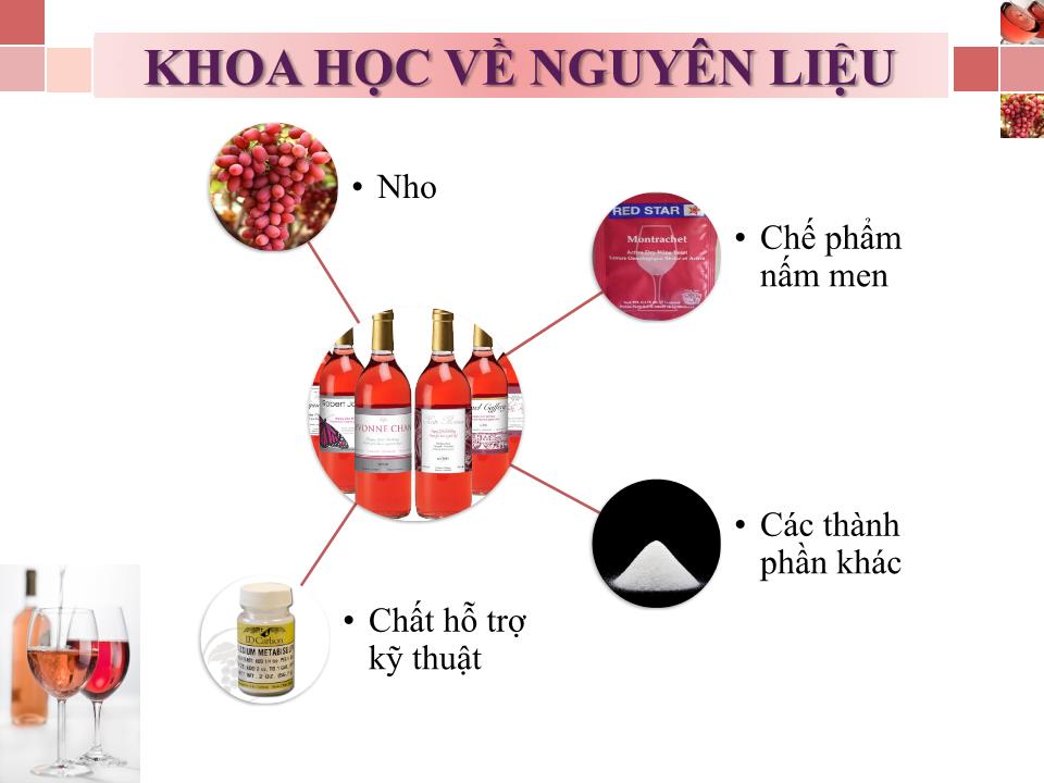 Bài thuyết trình Công nghệ lên men thực phẩm Rosé Wine trang 2