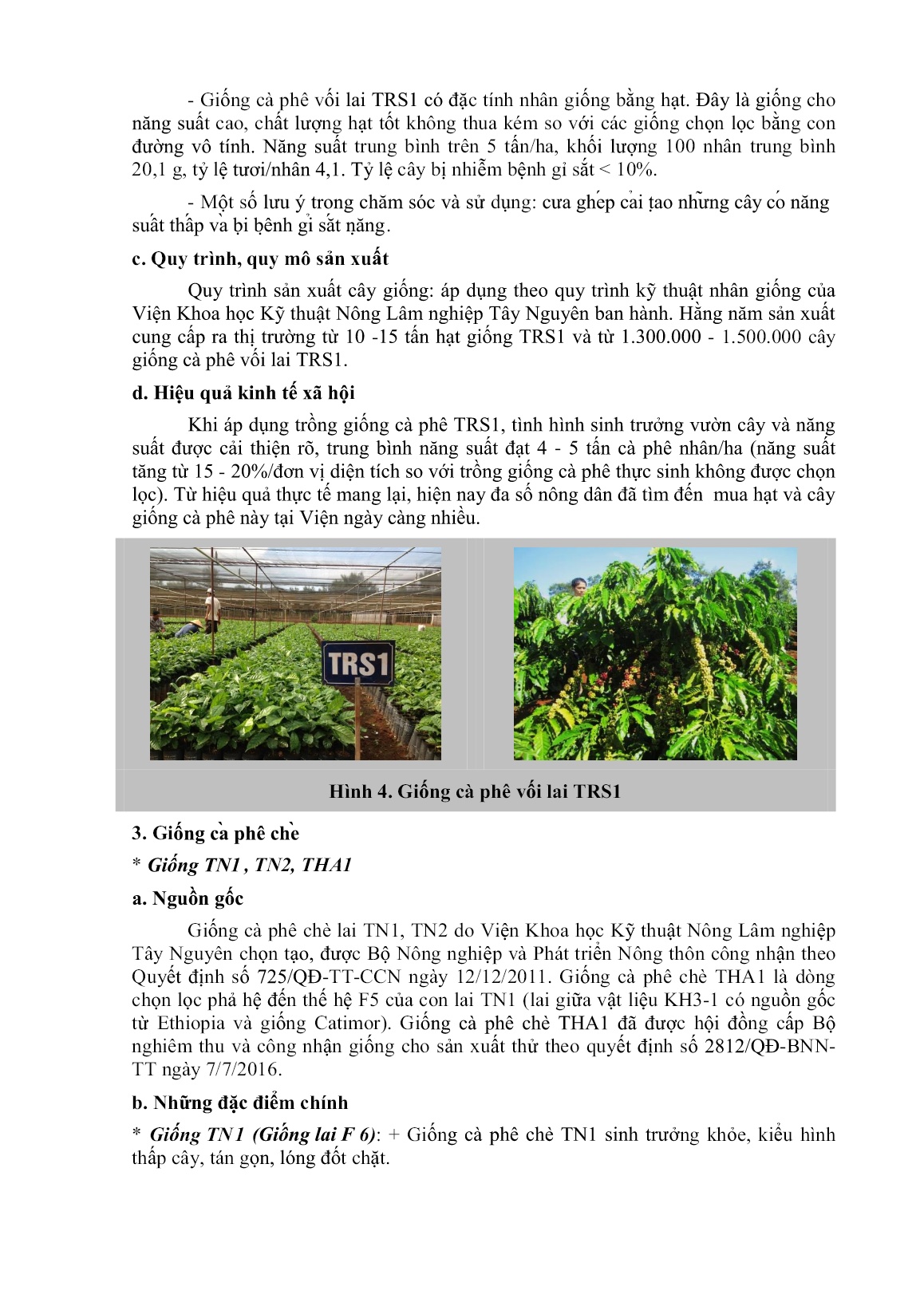 Giới thiệu một số giống cây trồng và các sản phẩm nông nghiệp phục vụ cho vùng Tây Nguyên trang 4