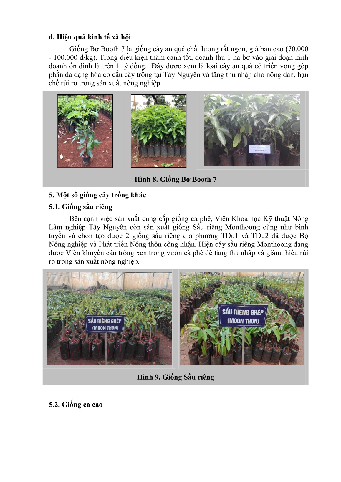 Giới thiệu một số giống cây trồng và các sản phẩm nông nghiệp phục vụ cho vùng Tây Nguyên trang 7