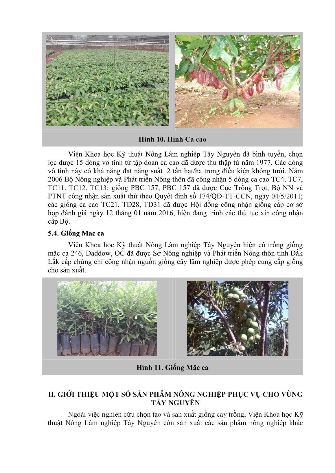 Giới thiệu một số giống cây trồng và các sản phẩm nông nghiệp phục vụ cho vùng Tây Nguyên trang 8