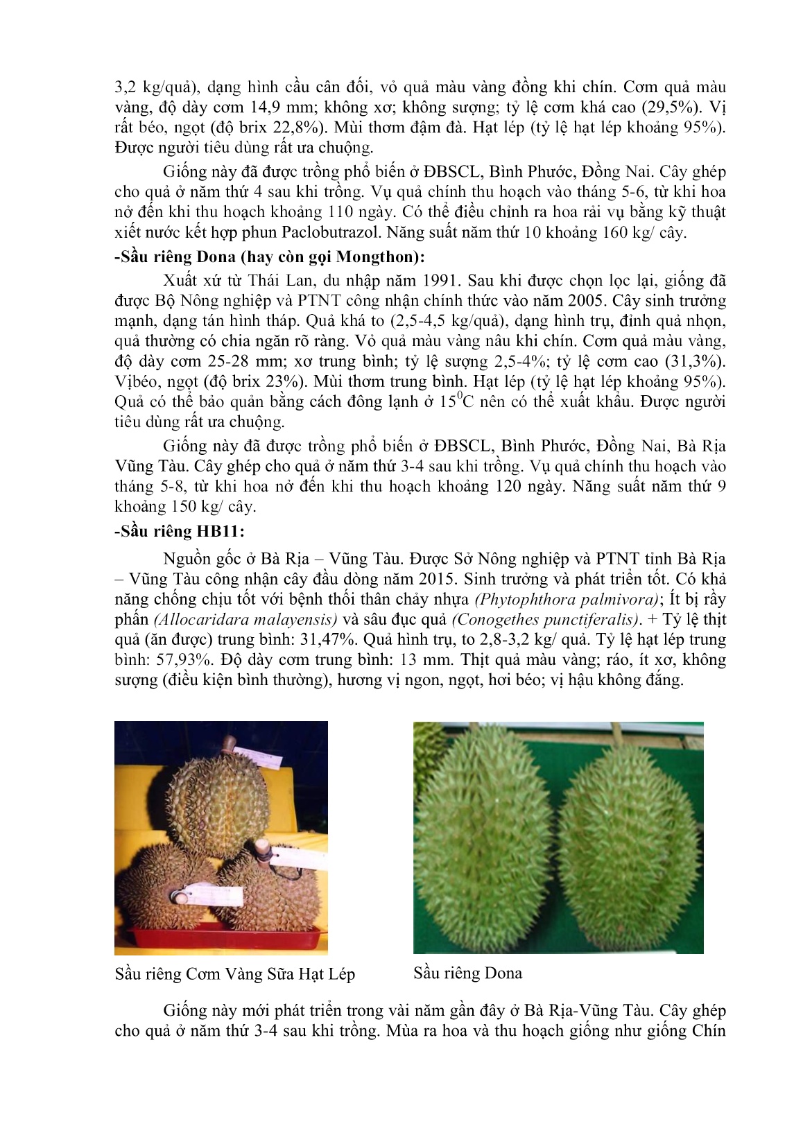 Giới thiệu một số giống cây ăn quả chủ lực có thể trồng và nhân rộng trên địa bàn Tây Nguyên trang 3
