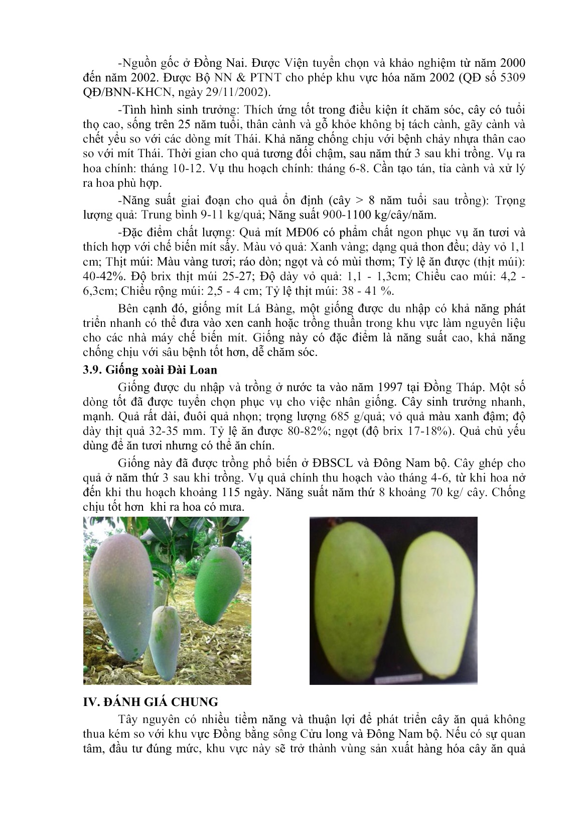 Giới thiệu một số giống cây ăn quả chủ lực có thể trồng và nhân rộng trên địa bàn Tây Nguyên trang 8