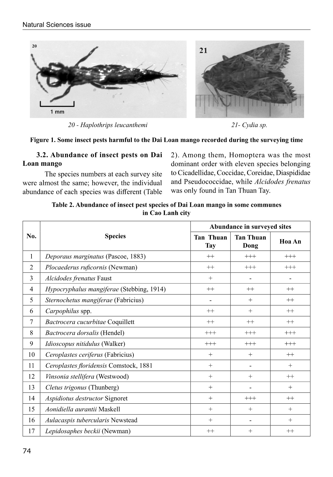 Dẫn liệu ban đầu về thành phần loài côn trùng gây hại trên xoài Đài Loan tại Thành phố cao lãnh, tỉnh Đồng Tháp, Việt Nam trang 7