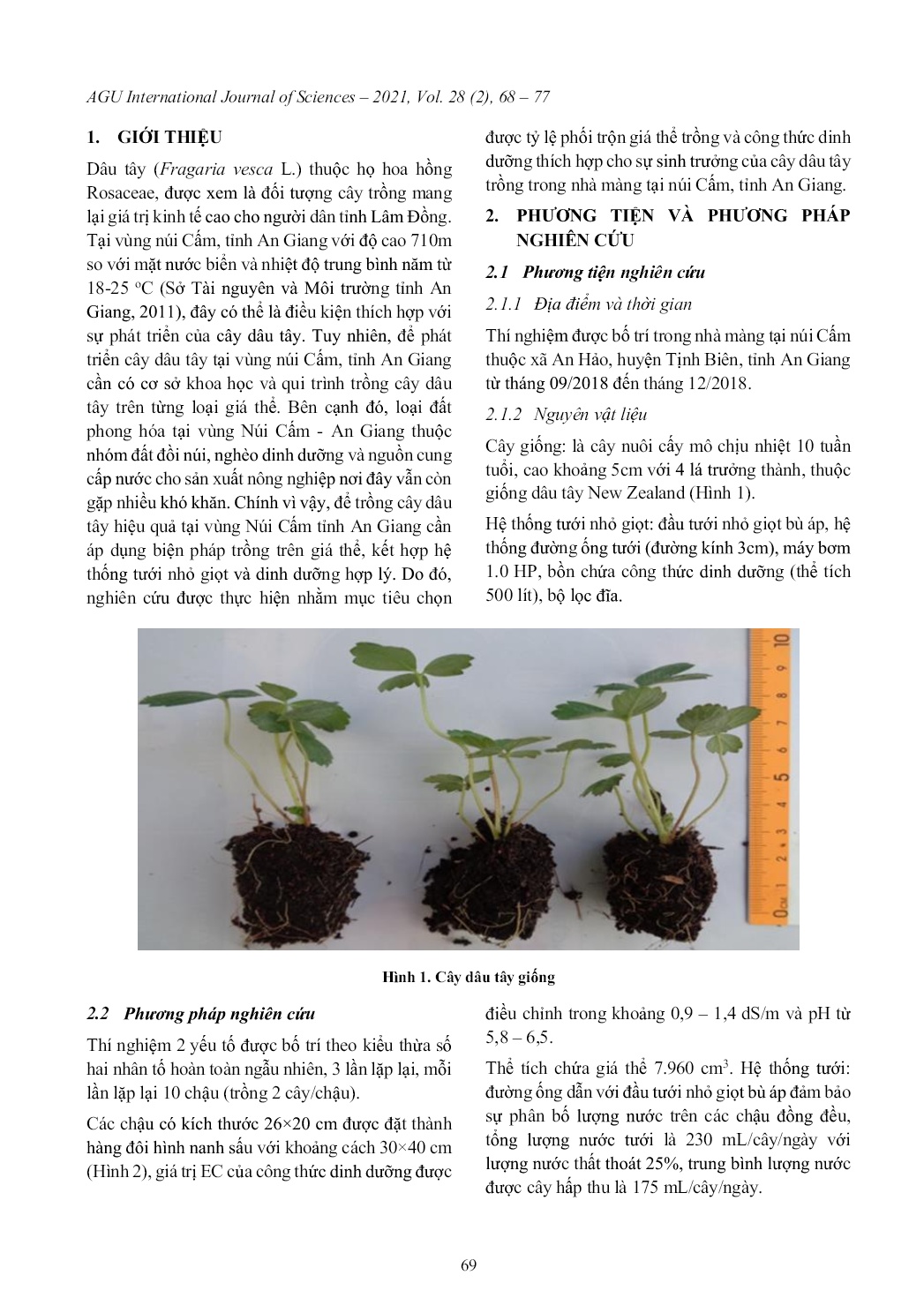 Ảnh hưởng của giá thể và công thức dinh dưỡng đến sinh trưởng của cây Dâu Tây (Fragaria vesca L.) trồng trong nhà màng tại vùng núi cấm, An Giang trang 2