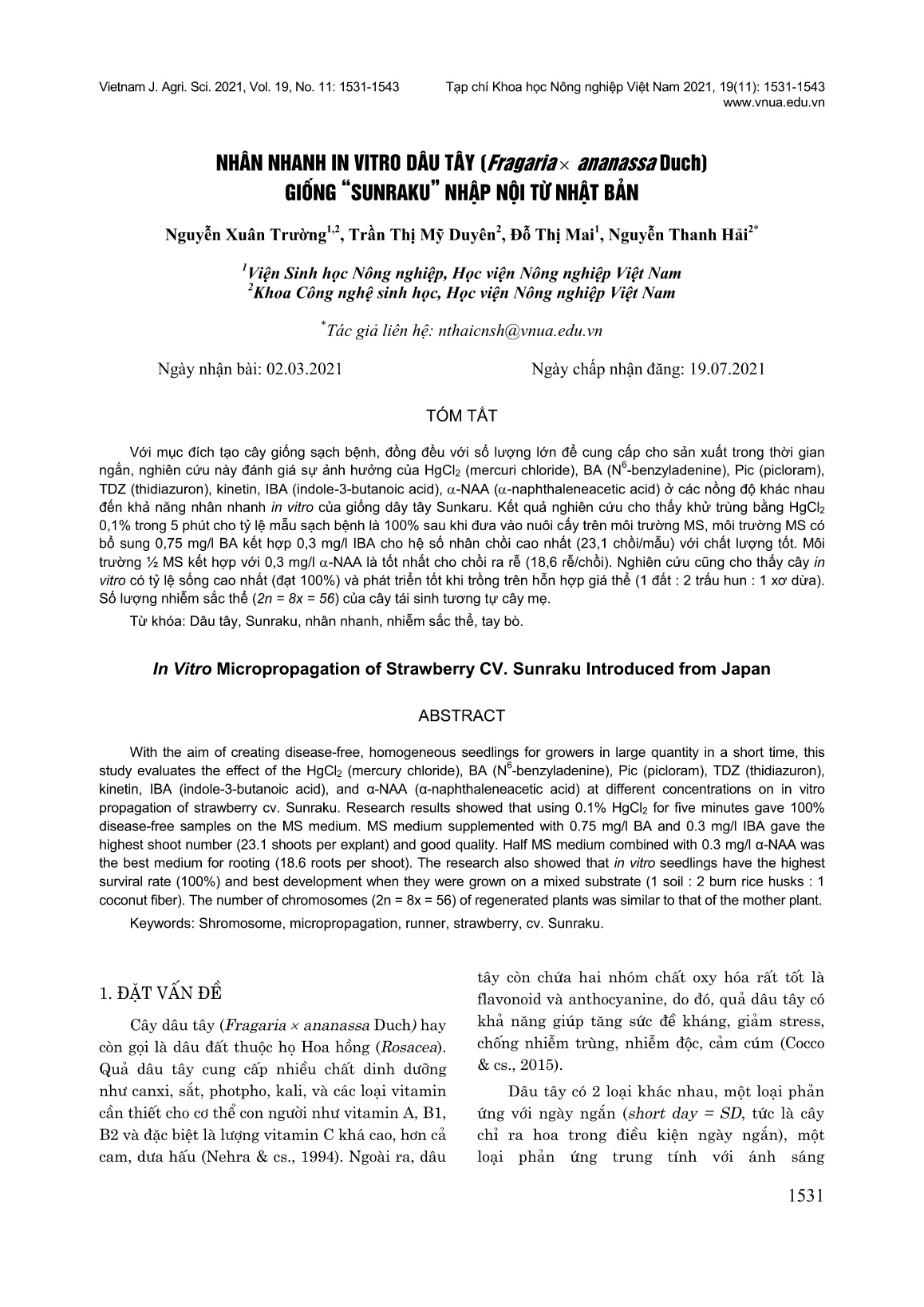 Nhân nhanh in vitro dâu tây (Fragaria x Ananassa Duch) giống “Sunraku” nhập nội từ Nhật Bản trang 1