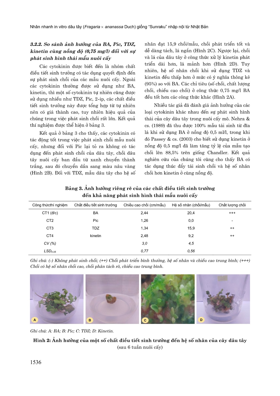 Nhân nhanh in vitro dâu tây (Fragaria x Ananassa Duch) giống “Sunraku” nhập nội từ Nhật Bản trang 6