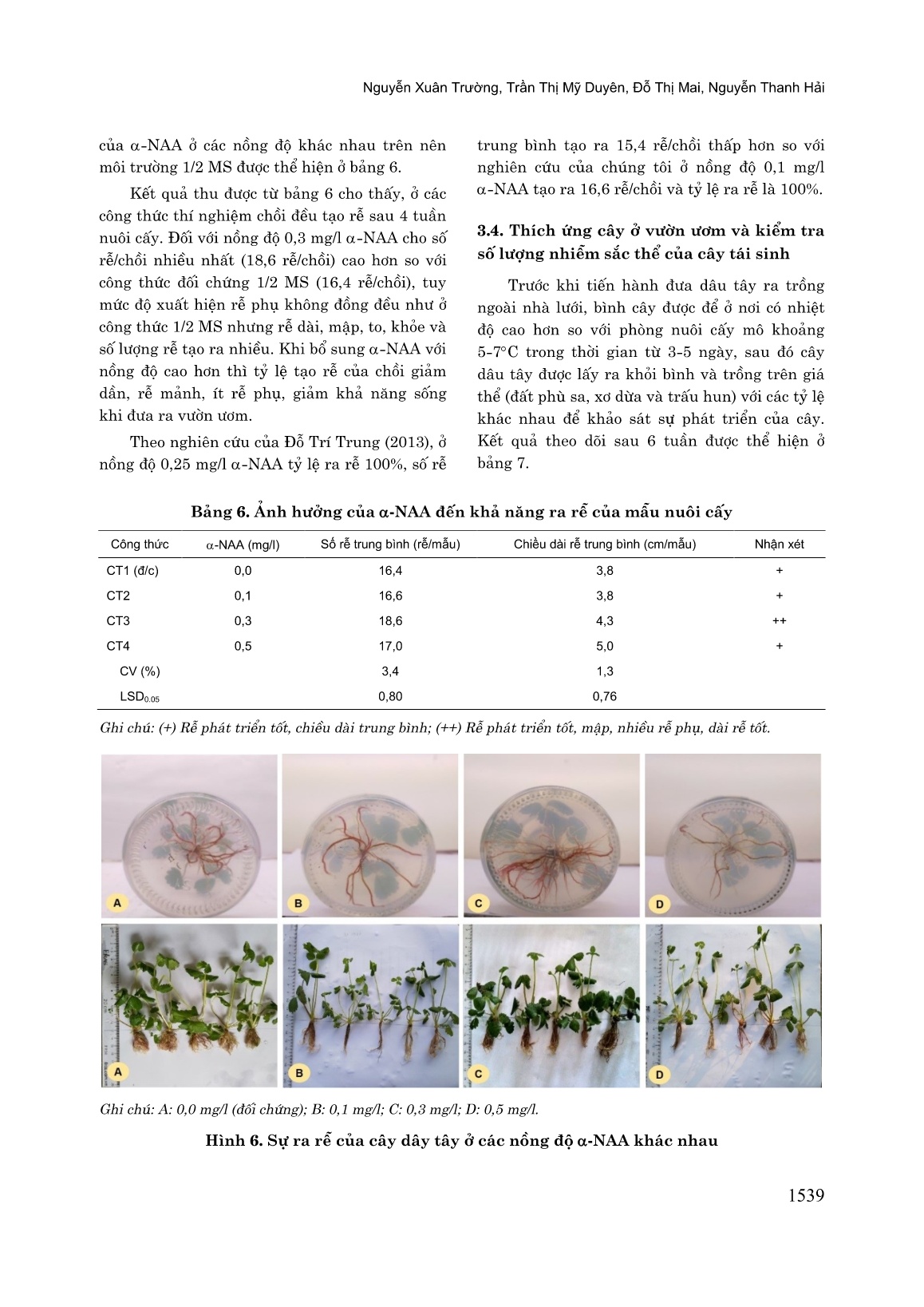Nhân nhanh in vitro dâu tây (Fragaria x Ananassa Duch) giống “Sunraku” nhập nội từ Nhật Bản trang 9