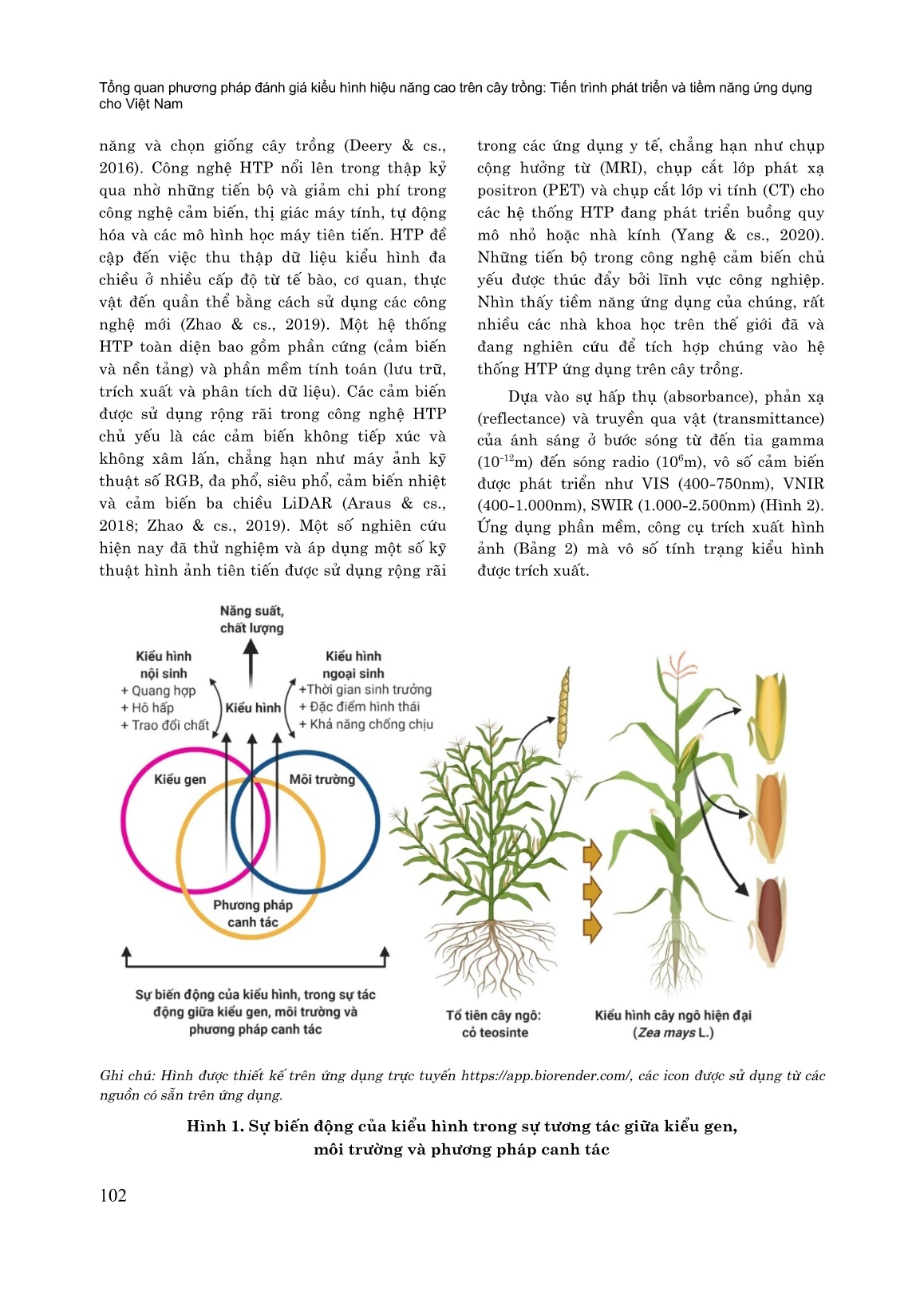 Tổng quan phương pháp đánh giá kiểu hình hiệu năng cao trên cây trồng: Tiến trình phát triển và tiềm năng ứng dụng cho Việt Nam trang 5
