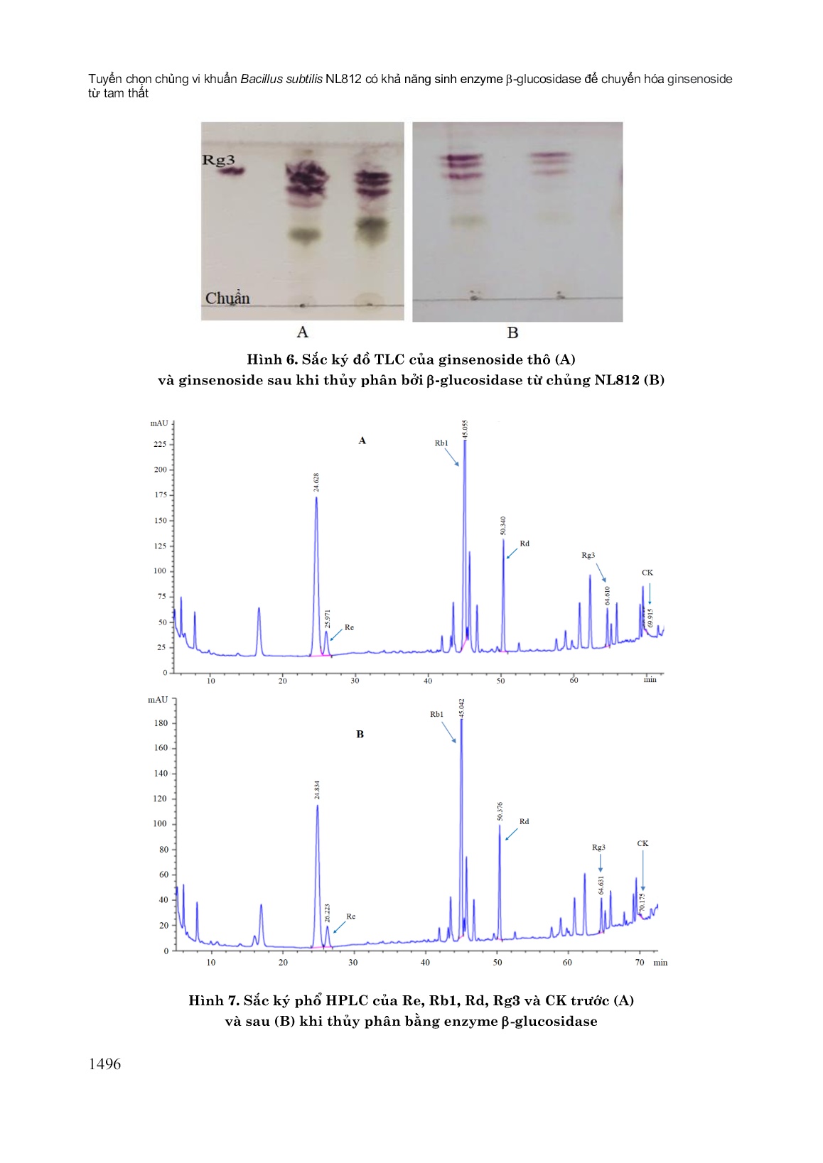 Tuyển chọn chủng vi khuẩn Bacillus Subtilis NL812 có khả năng sinh Enzyme β-glucosidase để chuyển hóa Ginsenoside từ tam thất trang 8