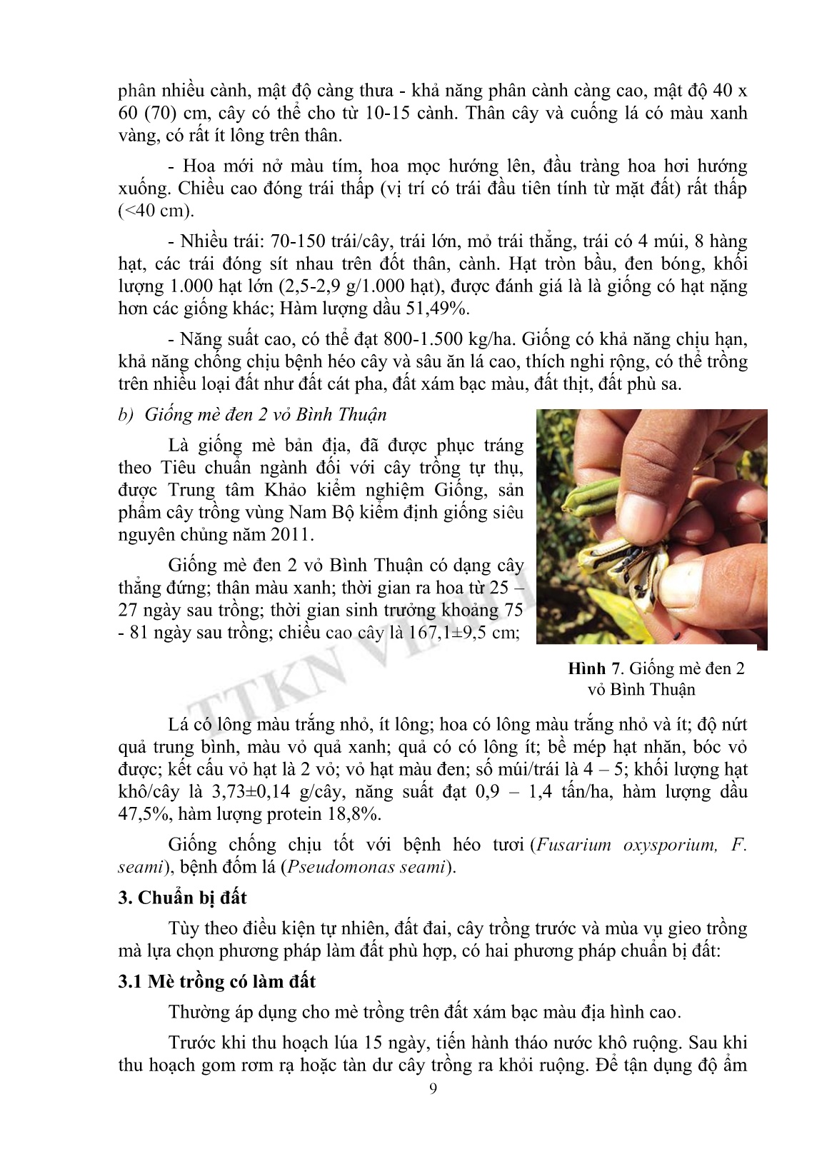 Tài liệu tập huấn khuyến nông kỹ thuật trồng mè trang 9