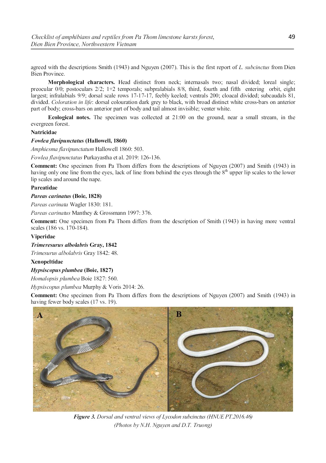 Checklist of amphibians and reptiles from pa thom limestone karsts forest, dien bien province, northwestern vietnam trang 8