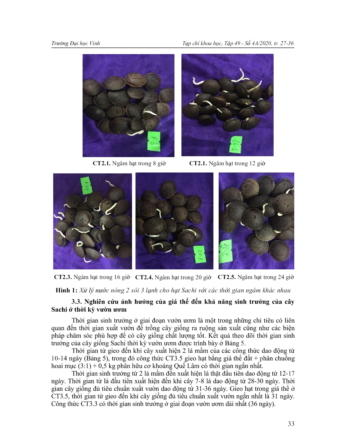 Nghiên cứu biện pháp xử lý nước nóng đến khả năng nảy mầm của hạt và ảnh hưởng của giá thể đến sinh trưởng của cây sachi (Plukenetia volubilis L.) thời kỳ vườn ươm tại Nghệ An trang 7