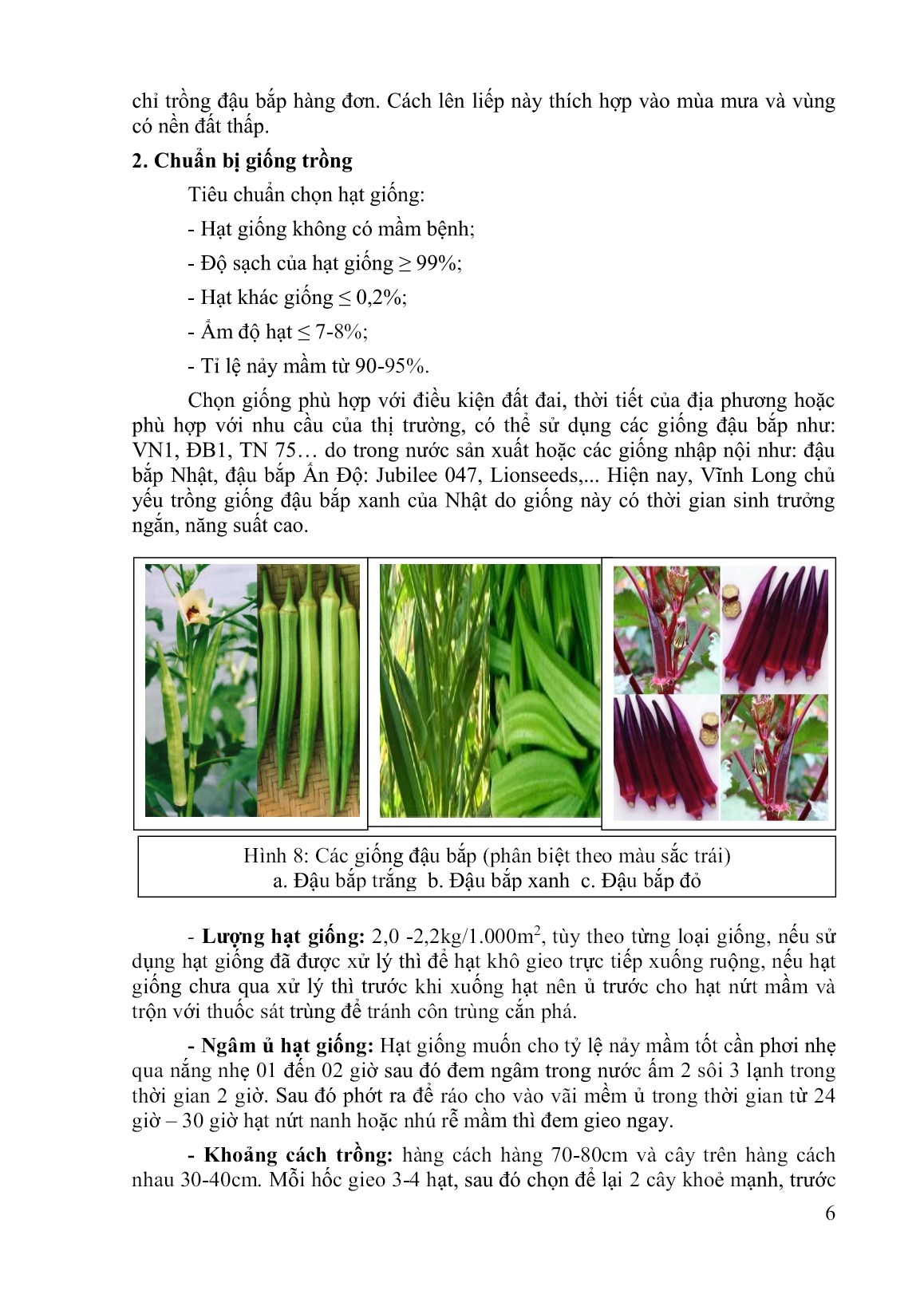 Tài liệu Tập huấn khuyến nông kỹ thuật trồng đậu bắp trang 6
