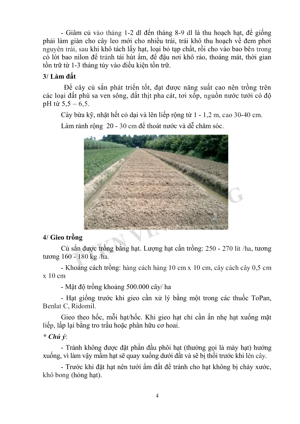 Tài liệu tập huấn khuyến nông Kỹ thuật trồng củ sắn trang 4