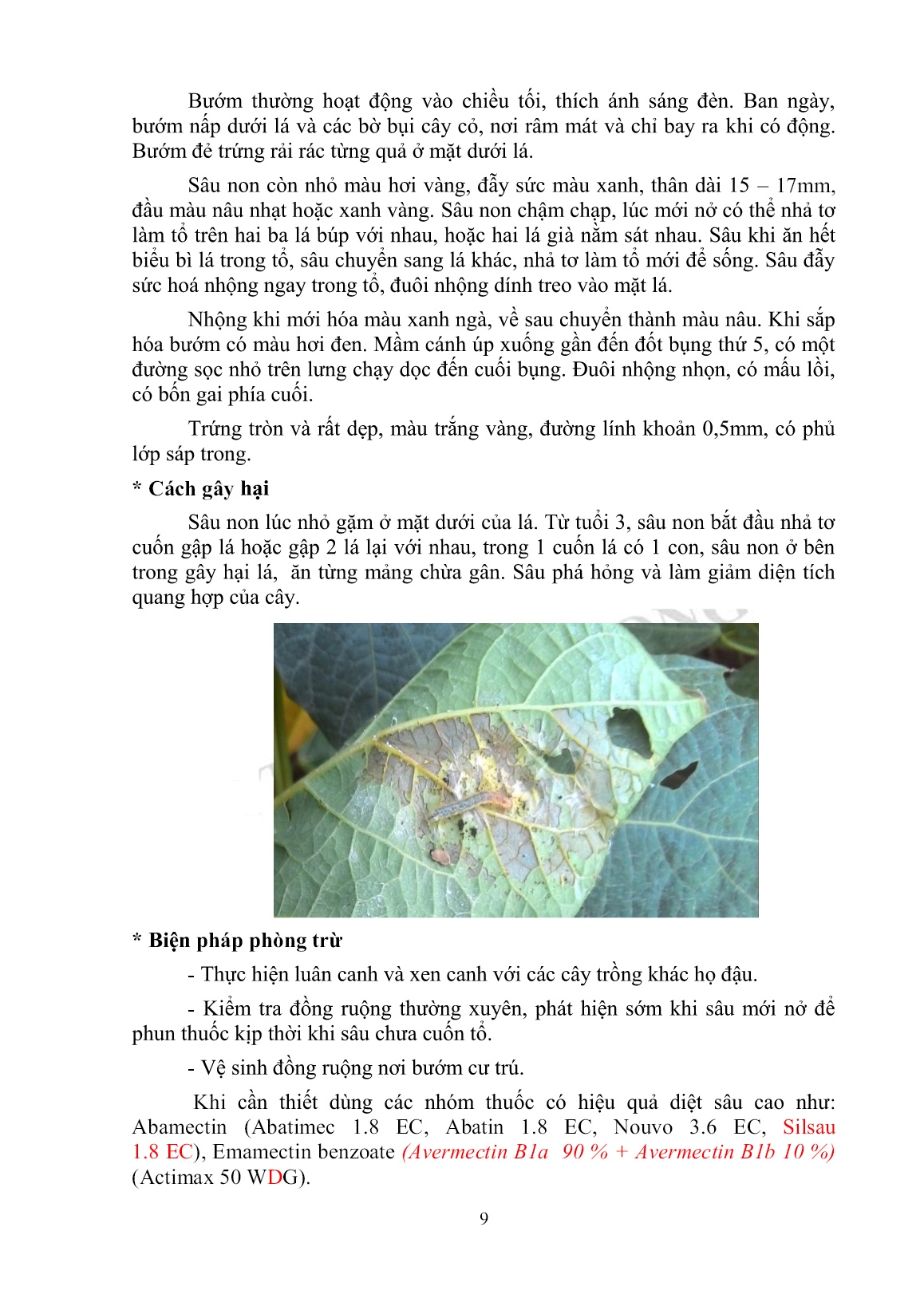 Tài liệu tập huấn khuyến nông Kỹ thuật trồng củ sắn trang 9