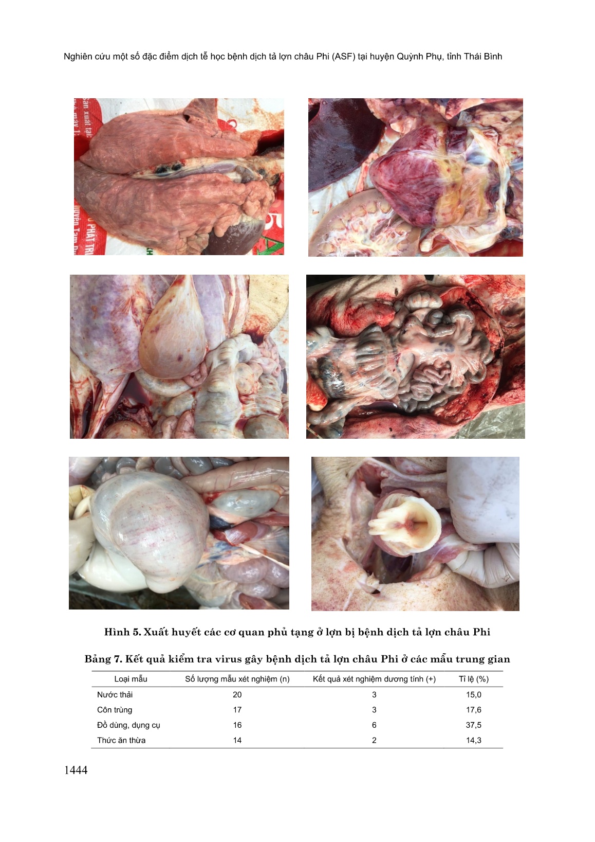 Nghiên cứu một số đặc điểm dịch tễ học bệnh dịch tả lợn châu phi (ASF) tại huyện Quỳnh Phụ, tỉnh Thái Bình trang 9