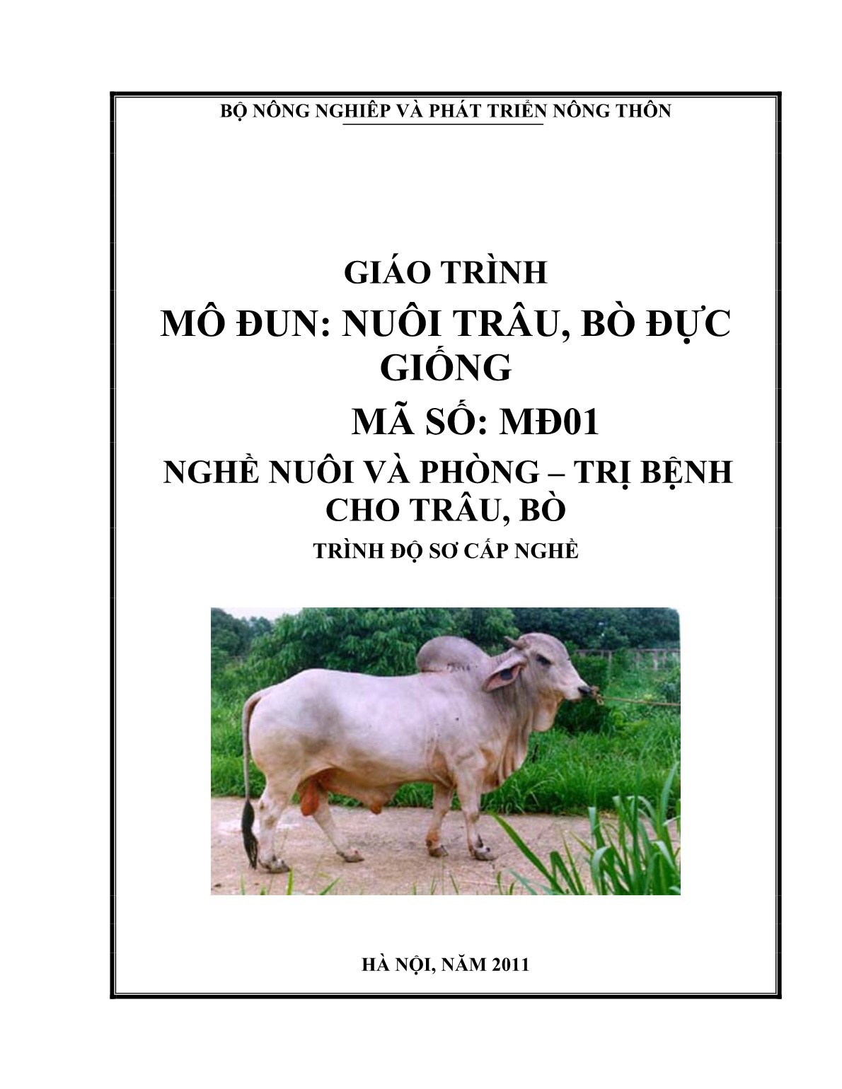 Giáo trình mô đun Nuôi trâu, bò đực giống (Trình độ: Sơ cấp nghề) trang 1