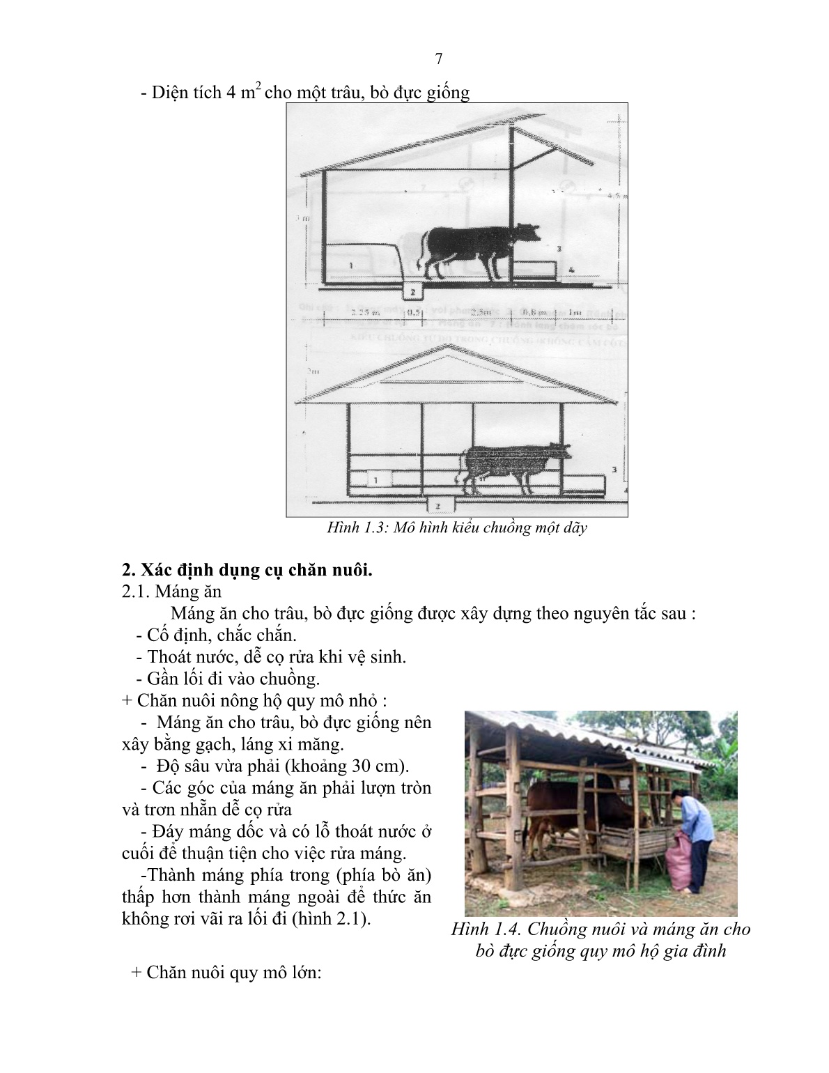 Giáo trình mô đun Nuôi trâu, bò đực giống (Trình độ: Sơ cấp nghề) trang 8