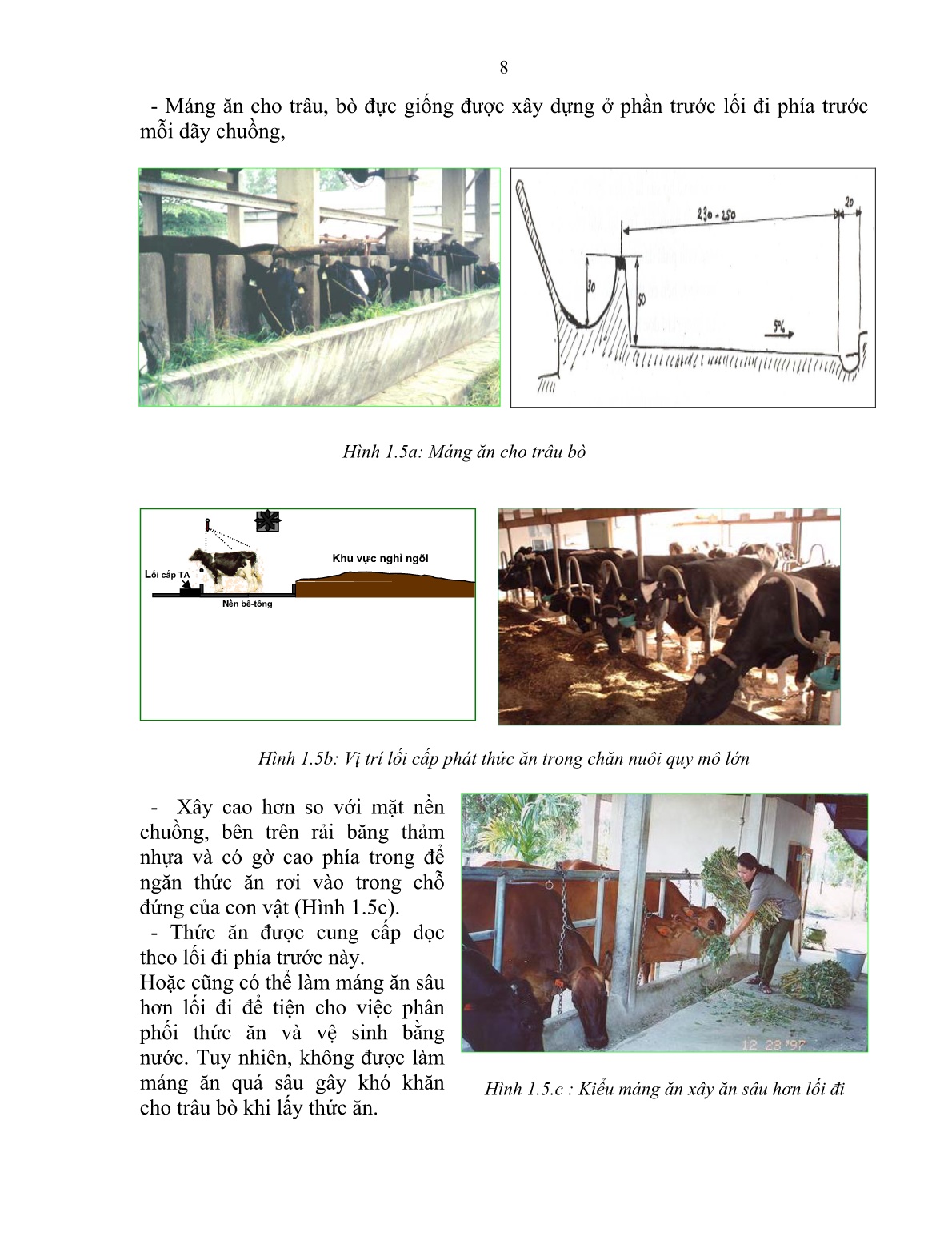 Giáo trình mô đun Nuôi trâu, bò đực giống (Trình độ: Sơ cấp nghề) trang 9