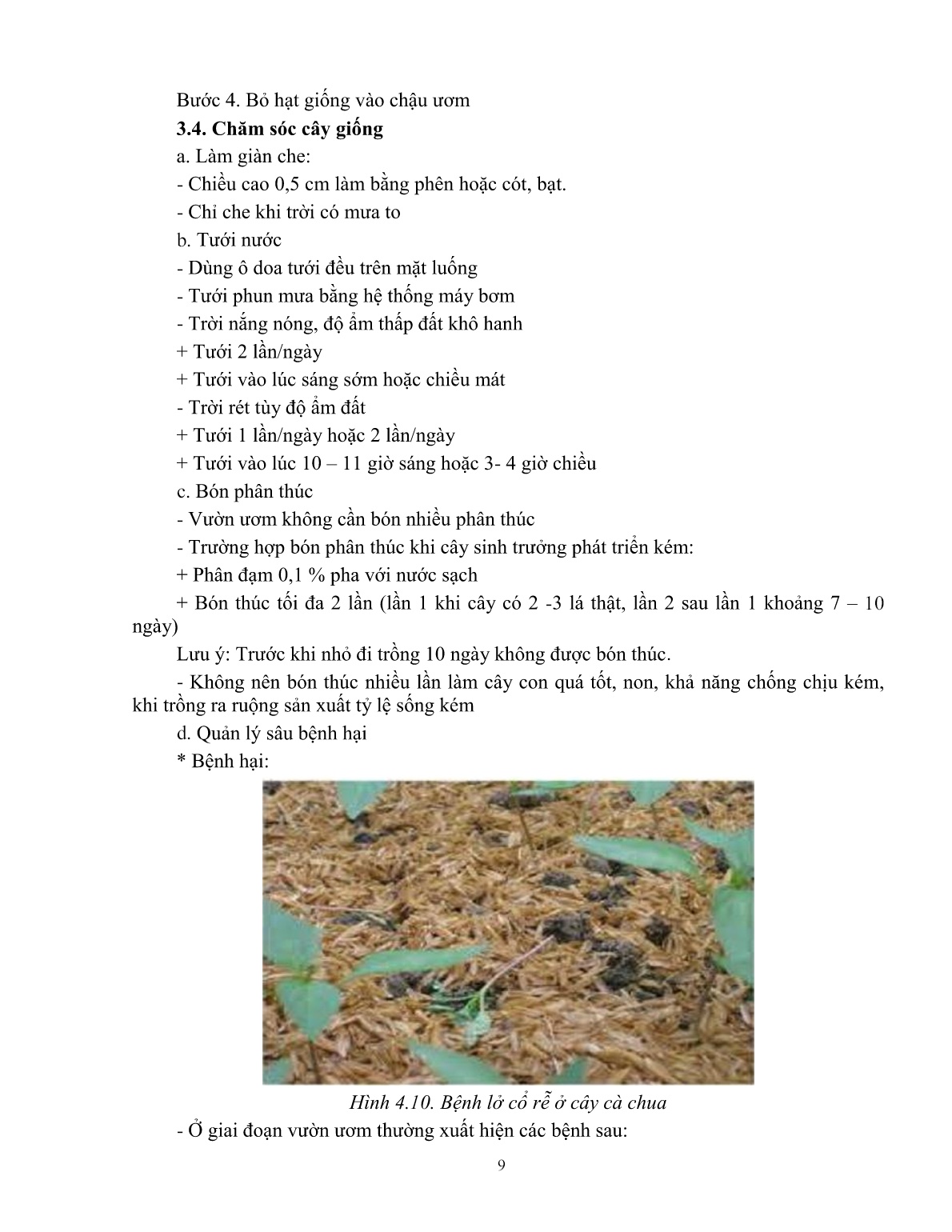 Giáo trình mô đun Trồng rau nhóm ăn quả (Trình độ: Đào tạo dưới 03 tháng) trang 10